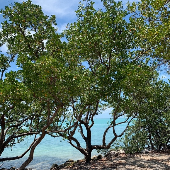 Meet your Posher, Kita - Picture 3 of 5